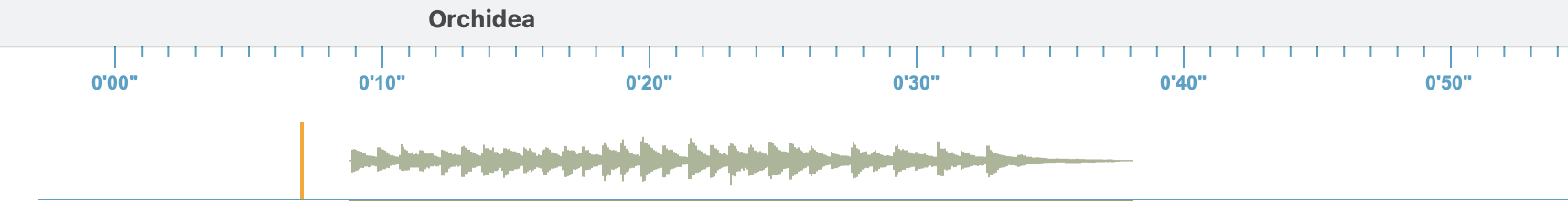 Playhead and Timeline